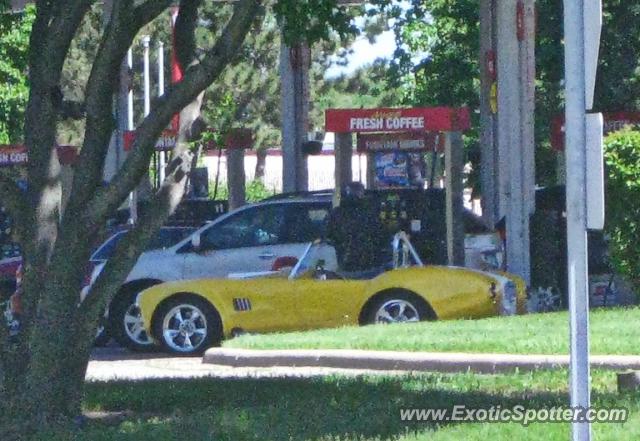Other Kit Car spotted in Apple Valley, Minnesota