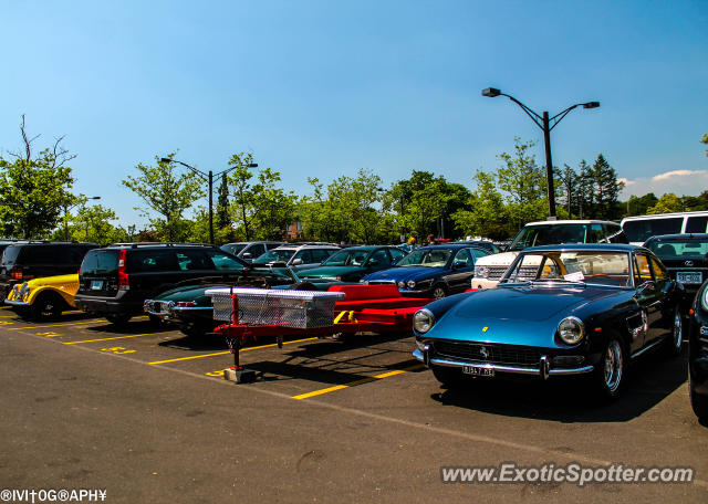 Ferrari 330 GTC spotted in Greenwich, Connecticut