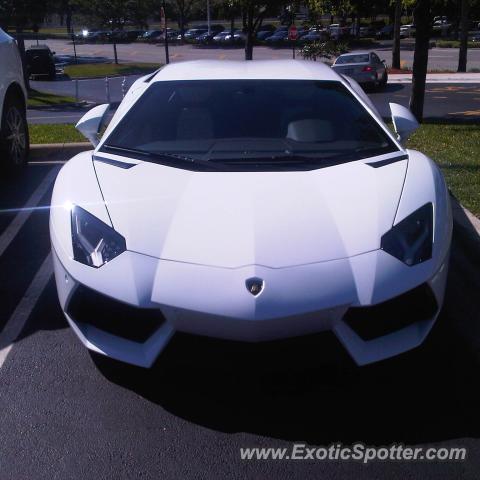 Lamborghini Aventador spotted in Toronto, Canada