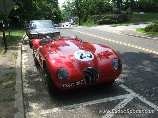 Jaguar E-Type spotted in Greenwich, Connecticut