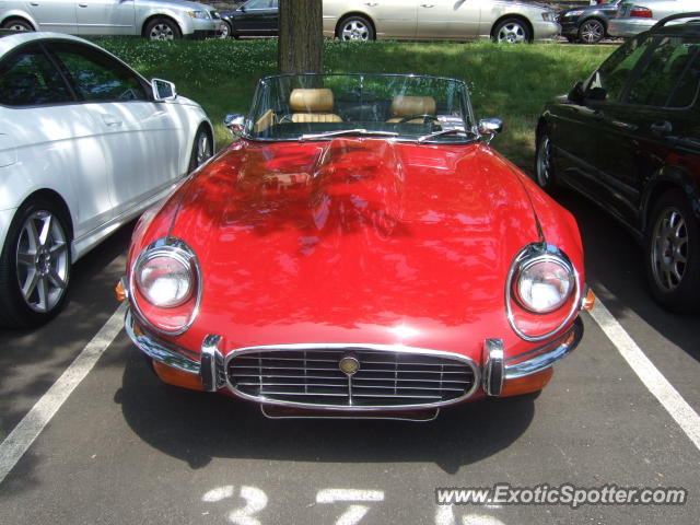 Jaguar E-Type spotted in Greenwich, Connecticut