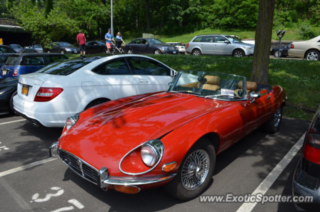 Jaguar E-Type spotted in Greenwich, Connecticut