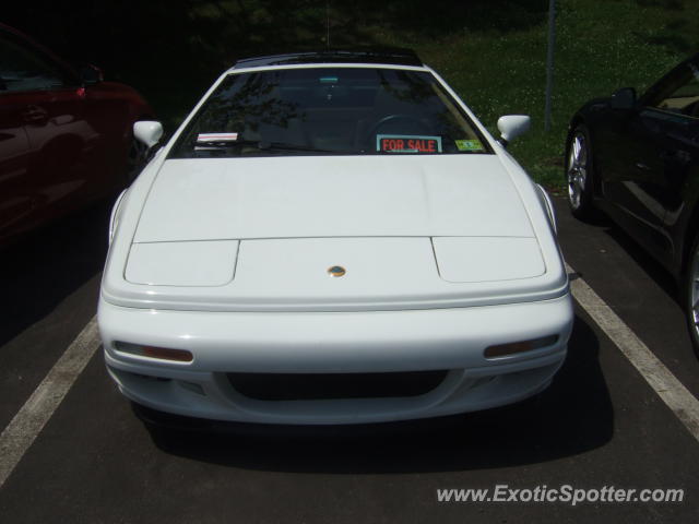Lotus Esprit spotted in Greenwich, Connecticut
