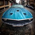 Ford Mustang Shelby GT 500