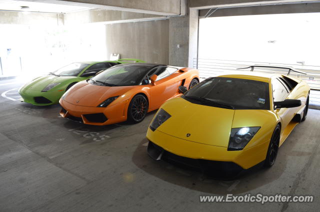 Lamborghini Murcielago spotted in Dallas, Texas