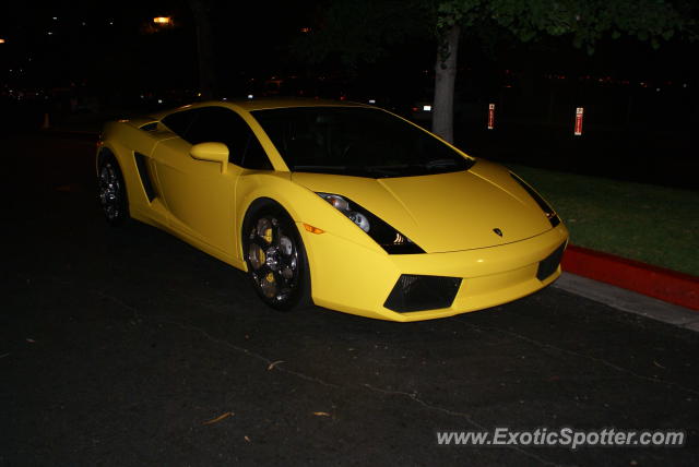 Lamborghini Gallardo spotted in Irvine, California