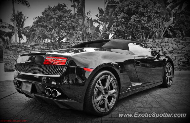 Lamborghini Gallardo spotted in Miami, Florida