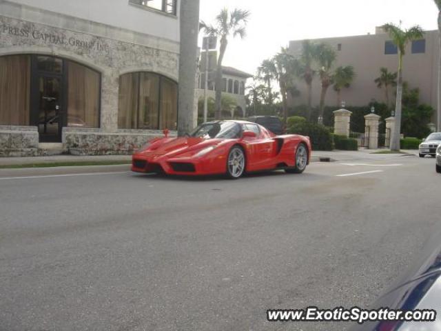Ferrari Enzo spotted in West Palm Beach, Florida