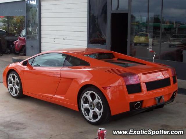 Lamborghini Gallardo spotted in Sarasota, Florida