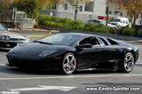 Lamborghini Murcielago