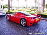 Ferrari Enzo