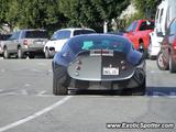 Shelby Daytona
