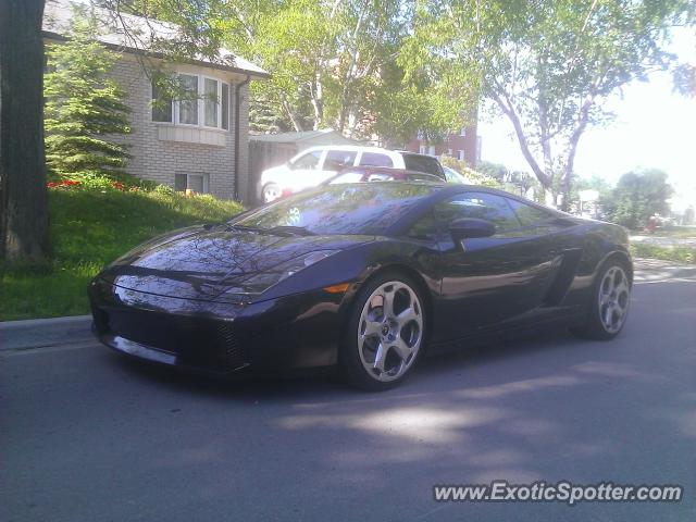 Lamborghini Gallardo spotted in Richmond Hill, Canada
