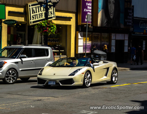 Lamborghini Gallardo spotted in Toronto, Canada