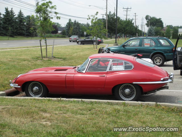 Jaguar E-Type spotted in Columbus, Ohio
