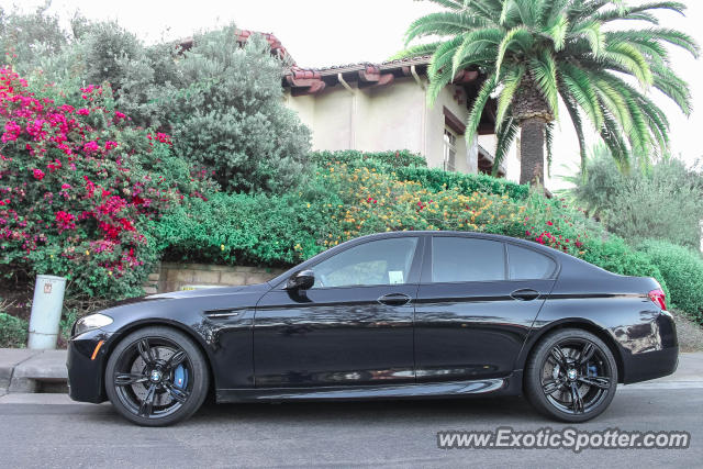 BMW M5 spotted in Carmel Valley, California