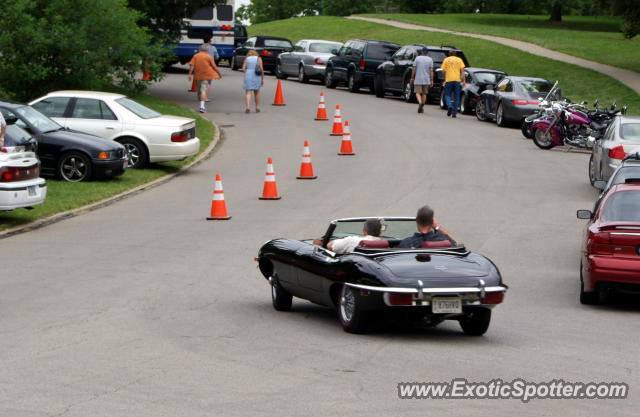 Jaguar E-Type spotted in Cincinnati, Ohio