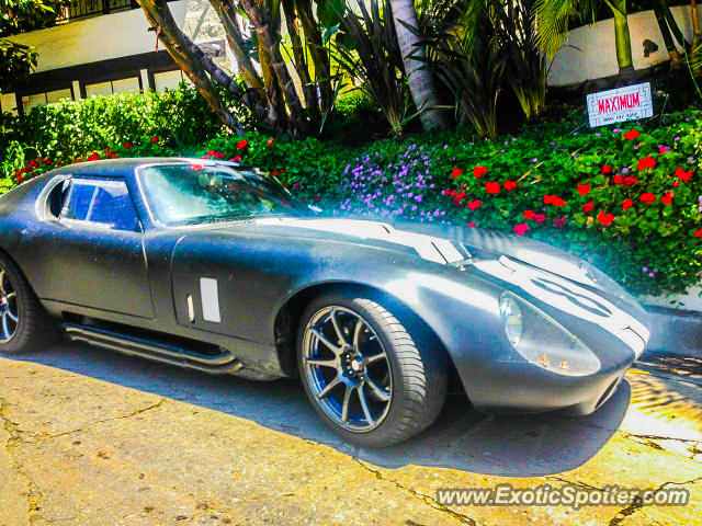 Other Kit Car spotted in Los Angeles, California
