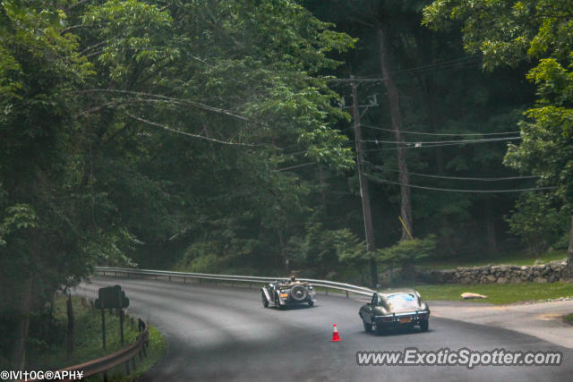 Jaguar E-Type spotted in Pound Ridge, New York