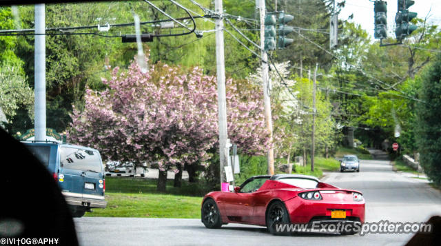 Tesla Roadster spotted in Cross River, New York