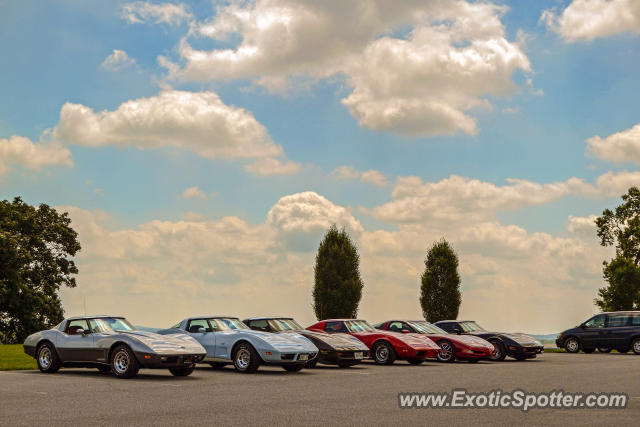 Chevrolet Corvette Z06 spotted in Hershey, Pennsylvania