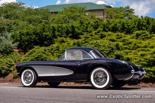 Other Vintage spotted in Hershey, Pennsylvania