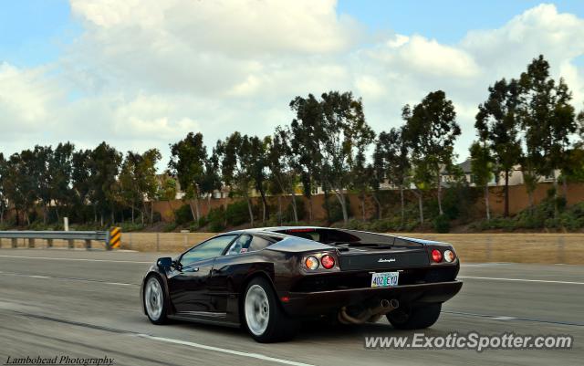 Lamborghini Diablo spotted in 405 freeway, California
