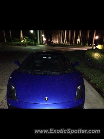 Lamborghini Gallardo spotted in Naples, Florida