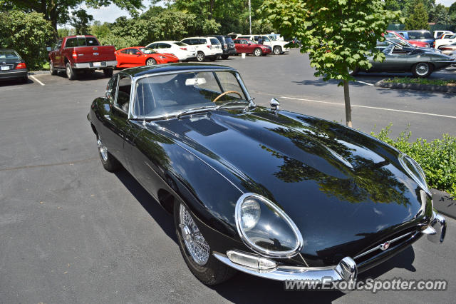 Jaguar E-Type spotted in Cincinnati, Ohio