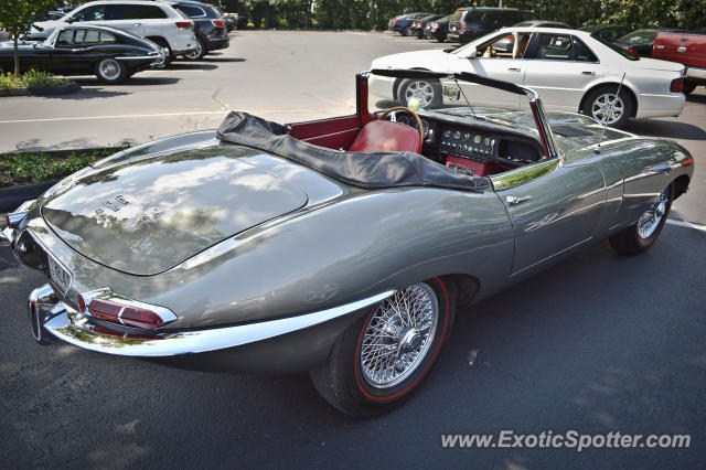 Jaguar E-Type spotted in Cincinnati, Ohio