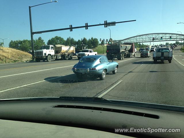 Jaguar E-Type spotted in Littleton, Colorado