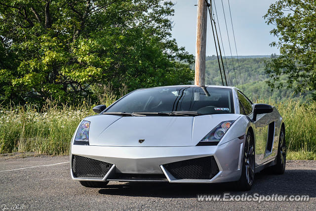 Lamborghini Gallardo spotted in Pocono Manor, Pennsylvania