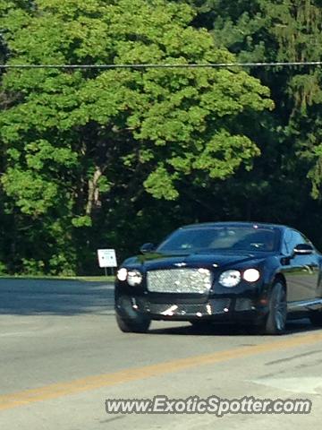 Bentley Continental spotted in Brookfield, Wisconsin