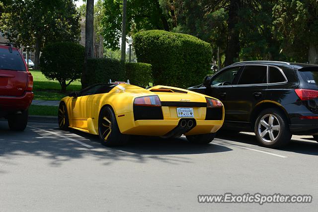 Lamborghini Murcielago spotted in Sonoma, California