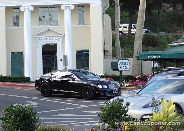 Bentley Continental spotted in Los Angeles, California
