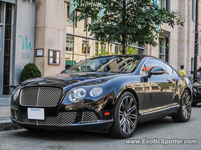 Bentley Continental spotted in Boston, Massachusetts