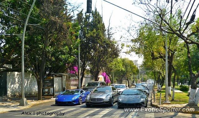 Lamborghini Gallardo spotted in Distriro Federal, Mexico