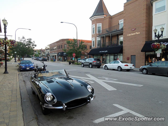 Jaguar E-Type spotted in Barrington, Illinois