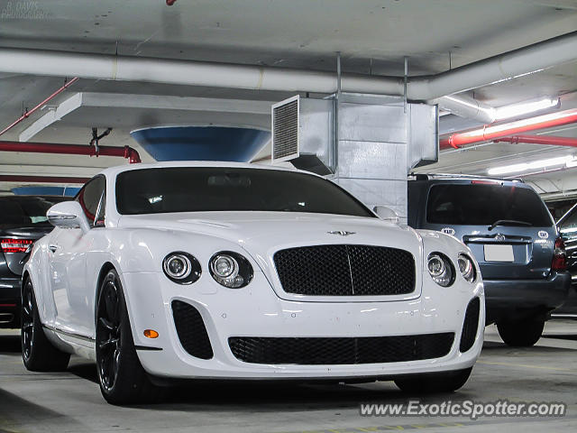 Bentley Continental spotted in Boston, Massachusetts