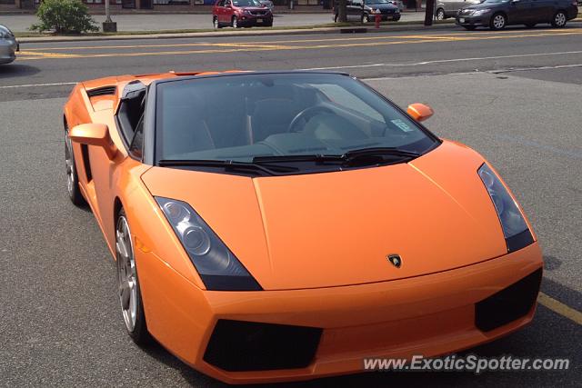 Lamborghini Gallardo spotted in Norwood, New Jersey