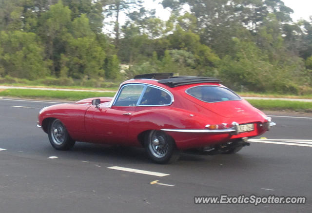 Jaguar E-Type spotted in Sydney, Australia