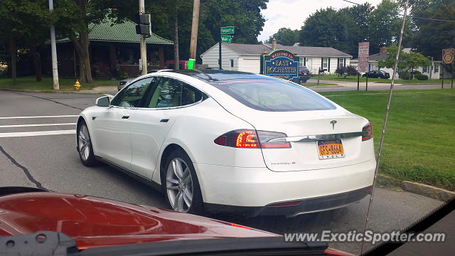 Tesla Model S spotted in Pittsford, New York
