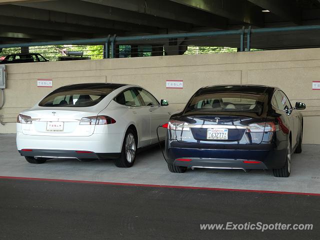 Tesla Model S spotted in King of Prussia, Pennsylvania