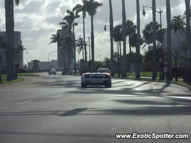 Lamborghini Gallardo spotted in Palm Beach, Florida
