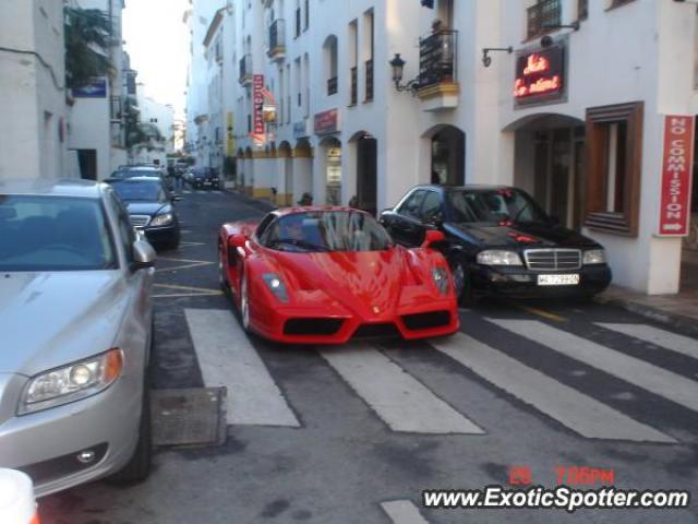 Ferrari Enzo spotted in Puerto banus, Spain