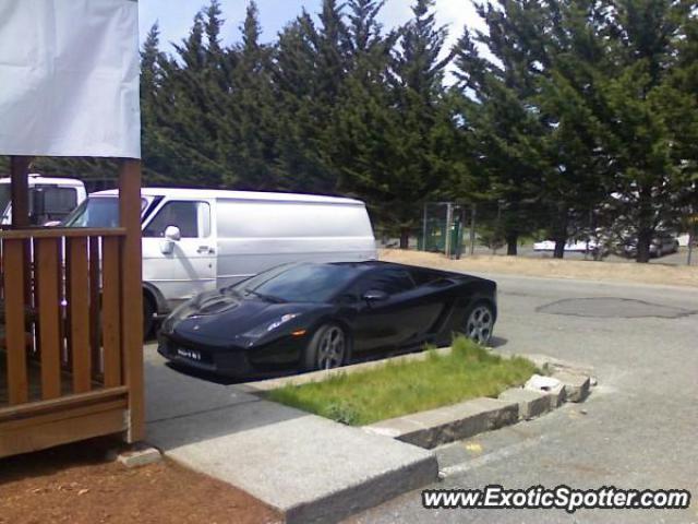 Lamborghini Gallardo spotted in Everett, Washington