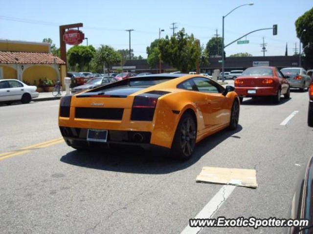 Lamborghini Gallardo spotted in Toluca lake, California