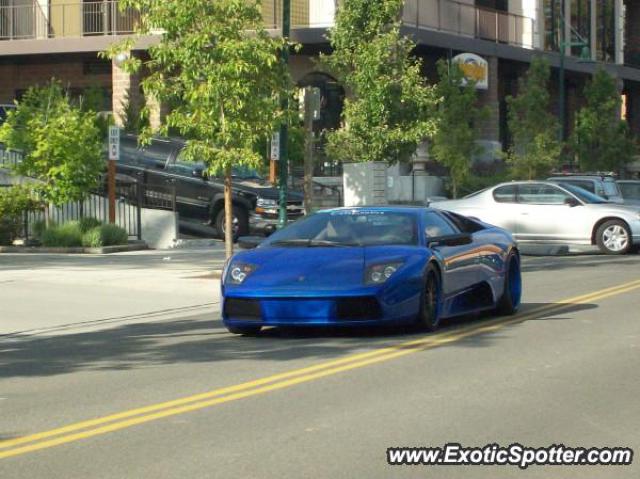 Lamborghini Murcielago spotted in Bothell, Washington