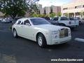 Rolls Royce Phantom