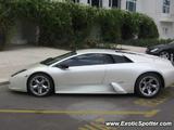 Lamborghini Murcielago